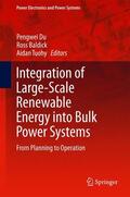 Du / Tuohy / Baldick |  Integration of Large-Scale Renewable Energy into Bulk Power Systems | Buch |  Sack Fachmedien