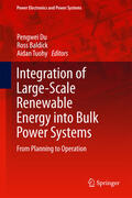 Du / Baldick / Tuohy |  Integration of Large-Scale Renewable Energy into Bulk Power Systems | eBook | Sack Fachmedien
