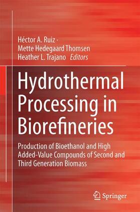 Ruiz / Trajano / Hedegaard Thomsen |  Hydrothermal Processing in Biorefineries | Buch |  Sack Fachmedien