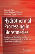Ruiz / Trajano / Hedegaard Thomsen |  Hydrothermal Processing in Biorefineries | Buch |  Sack Fachmedien