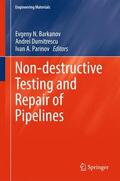Barkanov / Parinov / Dumitrescu |  Non-destructive Testing and Repair of Pipelines | Buch |  Sack Fachmedien