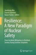 Ahn / Furuta / Guarnieri |  Resilience: A New Paradigm of Nuclear Safety | Buch |  Sack Fachmedien