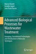 Dezotti / Bassin / Lippel |  Advanced Biological Processes for Wastewater Treatment | Buch |  Sack Fachmedien