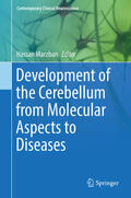 Marzban |  Development of the Cerebellum from Molecular Aspects to Diseases | eBook | Sack Fachmedien