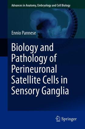 Pannese | Biology and Pathology of Perineuronal Satellite Cells in Sensory Ganglia | Buch | 978-3-319-60139-7 | sack.de