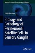 Pannese |  Biology and Pathology of Perineuronal Satellite Cells in Sensory Ganglia | Buch |  Sack Fachmedien