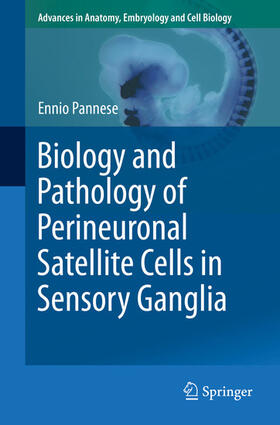 Pannese | Biology and Pathology of Perineuronal Satellite Cells in Sensory Ganglia | E-Book | sack.de