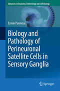 Pannese |  Biology and Pathology of Perineuronal Satellite Cells in Sensory Ganglia | eBook | Sack Fachmedien