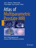 Vilanova / Laucirica / Catalá |  Atlas of Multiparametric Prostate MRI | Buch |  Sack Fachmedien