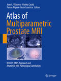 Vilanova / Catalá / Algaba |  Atlas of Multiparametric Prostate MRI | eBook | Sack Fachmedien