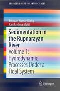 Maiti / Kumar Maity |  Sedimentation in the Rupnarayan River | Buch |  Sack Fachmedien