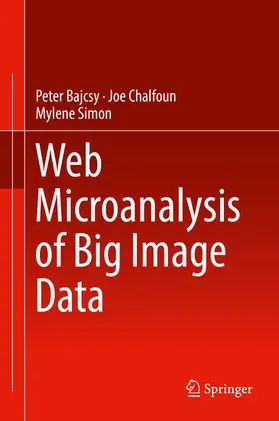 Bajcsy / Chalfoun / Simon | Web Microanalysis of Big Image Data | E-Book | www.sack.de