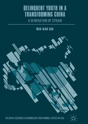 Bao |  Delinquent Youth in a Transforming China | Buch |  Sack Fachmedien