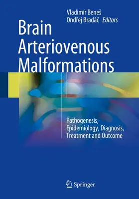 Bradác / Beneš / Bradác |  Brain Arteriovenous Malformations | Buch |  Sack Fachmedien