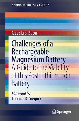 Bucur | Challenges of a Rechargeable Magnesium Battery | Buch | 978-3-319-65066-1 | sack.de