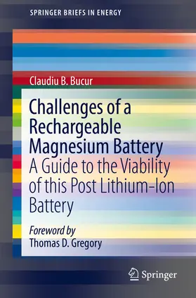 Bucur | Challenges of a Rechargeable Magnesium Battery | E-Book | sack.de
