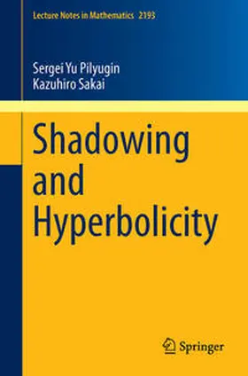Pilyugin / Sakai |  Shadowing and Hyperbolicity | Buch |  Sack Fachmedien
