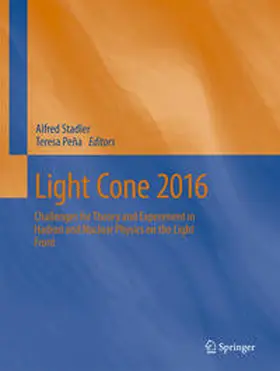 Peña / Stadler |  Light Cone 2016 | Buch |  Sack Fachmedien