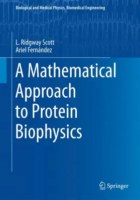 Fernández / Scott |  A Mathematical Approach to Protein Biophysics | Buch |  Sack Fachmedien