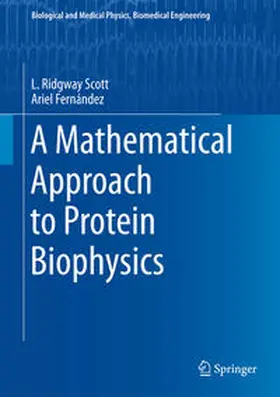Scott / Fernández |  A Mathematical Approach to Protein Biophysics | eBook | Sack Fachmedien