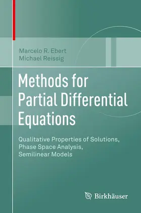 Reissig / Ebert |  Methods for Partial Differential Equations | Buch |  Sack Fachmedien
