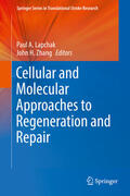 Lapchak / Zhang |  Cellular and Molecular Approaches to Regeneration and Repair | eBook | Sack Fachmedien