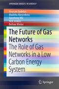 Qadrdan / Abeysekera / Wu |  The Future of Gas Networks | eBook | Sack Fachmedien