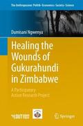 Ngwenya |  Healing the Wounds of Gukurahundi in Zimbabwe | Buch |  Sack Fachmedien