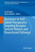 Elkabets / Yarden |  Resistance to Anti-Cancer Therapeutics Targeting Receptor Tyrosine Kinases and Downstream Pathways | Buch |  Sack Fachmedien