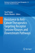 Yarden / Elkabets |  Resistance to Anti-Cancer Therapeutics Targeting Receptor Tyrosine Kinases and Downstream Pathways | eBook | Sack Fachmedien