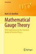 Hamilton |  Mathematical Gauge Theory | Buch |  Sack Fachmedien
