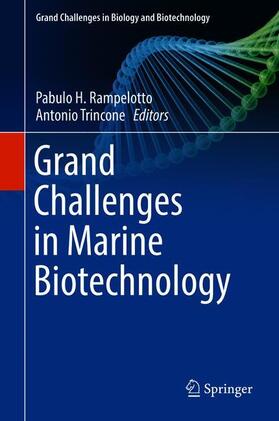 Trincone / Rampelotto | Grand Challenges in Marine Biotechnology | Buch | 978-3-319-69074-2 | sack.de