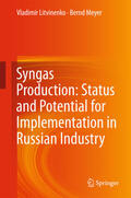 Litvinenko / Meyer |  Syngas Production: Status and Potential for Implementation in Russian Industry | eBook | Sack Fachmedien