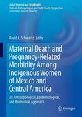 Schwartz |  Maternal Death and Pregnancy-Related Morbidity Among Indigenous Women of Mexico and Central America | Buch |  Sack Fachmedien