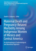 Schwartz |  Maternal Death and Pregnancy-Related Morbidity Among Indigenous Women of Mexico and Central America | eBook | Sack Fachmedien