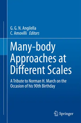Angilella / Amovilli | Many-body Approaches at Different Scales | E-Book | www.sack.de