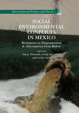 Tetreault / McCulligh / Lucio |  Social Environmental Conflicts in Mexico | eBook | Sack Fachmedien