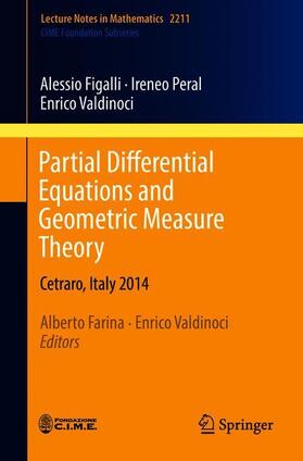Figalli / Peral / Farina | Partial Differential Equations and Geometric Measure Theory | Buch | 978-3-319-74041-6 | sack.de