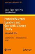 Figalli / Peral / Farina |  Partial Differential Equations and Geometric Measure Theory | Buch |  Sack Fachmedien