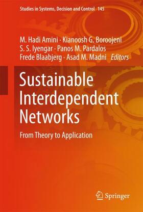 Amini / Boroojeni / Madni | Sustainable Interdependent Networks | Buch | 978-3-319-74411-7 | sack.de