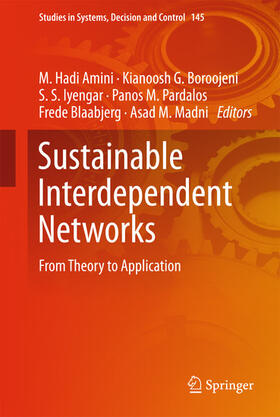 Amini / Boroojeni / Iyengar | Sustainable Interdependent Networks | E-Book | sack.de