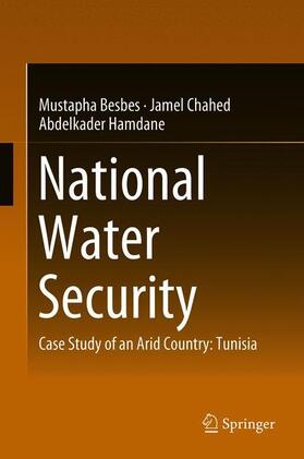 Besbes / Hamdane / Chahed | National Water Security | Buch | 978-3-319-75498-7 | sack.de