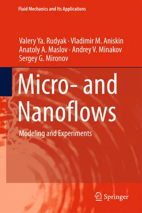 Rudyak / Aniskin / Maslov |  Micro- and Nanoflows | eBook | Sack Fachmedien