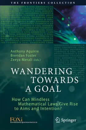 Aguirre / Foster / Merali | Wandering Towards a Goal | E-Book | www.sack.de