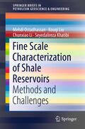 Ostadhassan / Liu / Li |  Fine Scale Characterization of Shale Reservoirs | eBook | Sack Fachmedien