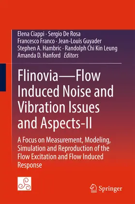 Ciappi / De Rosa / Franco |  Flinovia—Flow Induced Noise and Vibration Issues and Aspects-II | eBook | Sack Fachmedien