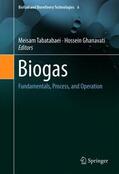 Tabatabaei / Ghanavati |  Biogas | Buch |  Sack Fachmedien