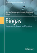 Tabatabaei / Ghanavati |  Biogas | eBook | Sack Fachmedien