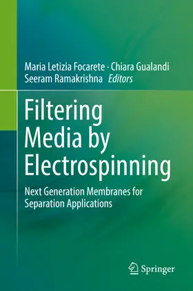 Focarete / Gualandi / Ramakrishna | Filtering Media by Electrospinning | E-Book | www.sack.de