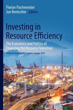 Rentschler / Flachenecker | Investing in Resource Efficiency | Buch | 978-3-319-78866-1 | sack.de
